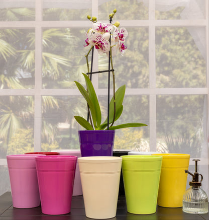 Ceramic Pot Pax - Various Colours