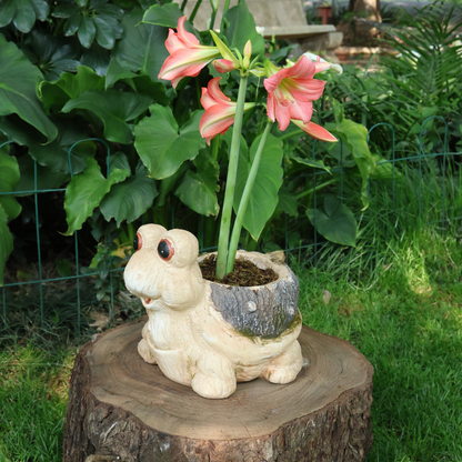 Big Frog Planter