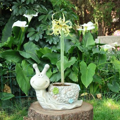 Big Snail  Planter