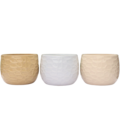 1x Olivia Ceramic D12 - Various Colours