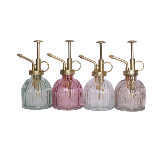 Orchid Mister - Assorted Colours