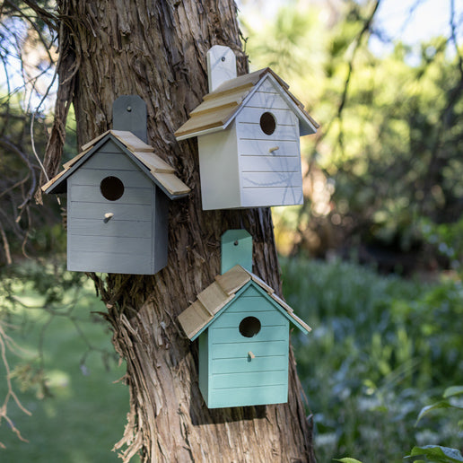 1x Bird House - White