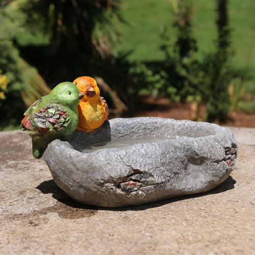 Bird-feeder Rock