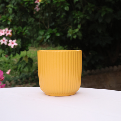 Charlotte Pot D12 - Various Colours