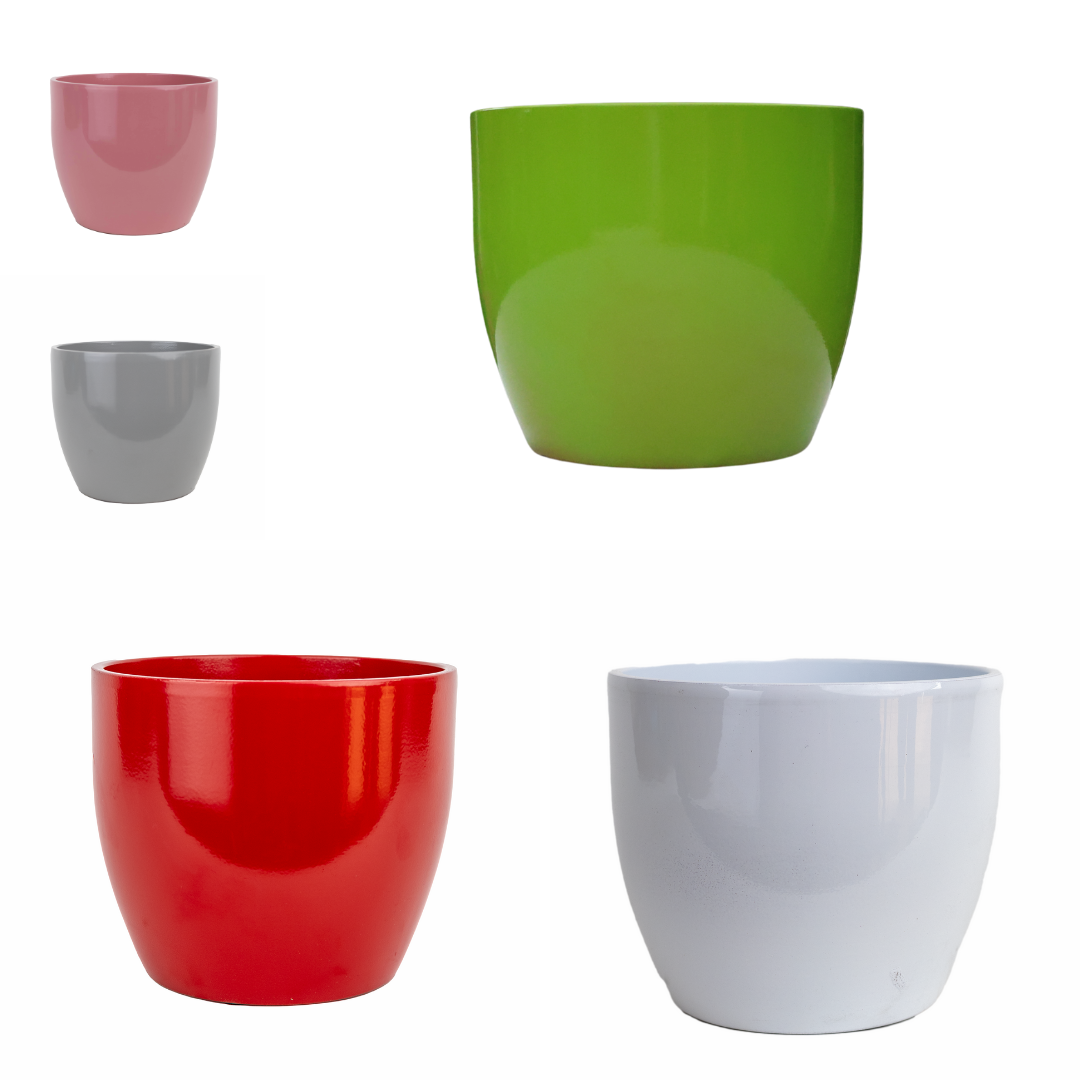 Ceramic Pot Dana D15cm - Assorted Colours