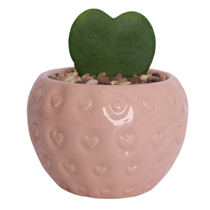 1x Ceramic Pot - Del Fruit- Assorted - D9cm