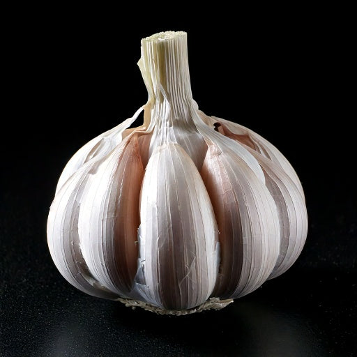 Garlic allium sativum - 25 cloves p/pack