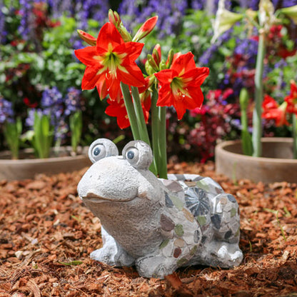 Frog Flower Pot