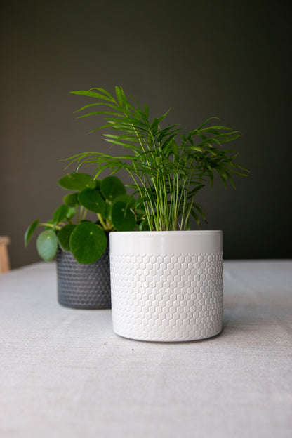 Capri Ceramic Pot - Various Colours and Sizes