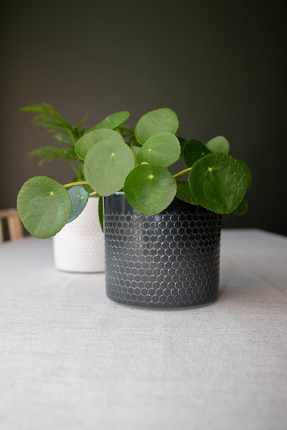 Capri Ceramic Pot - Various Colours and Sizes