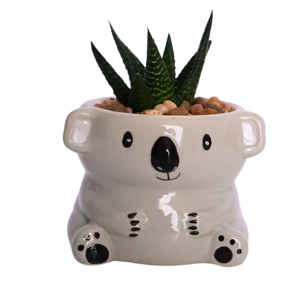 Mini Joey Planter - D6cm