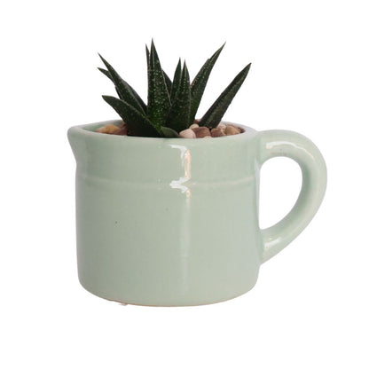 Mini Ceramic Jug Planter D5 - Various Options