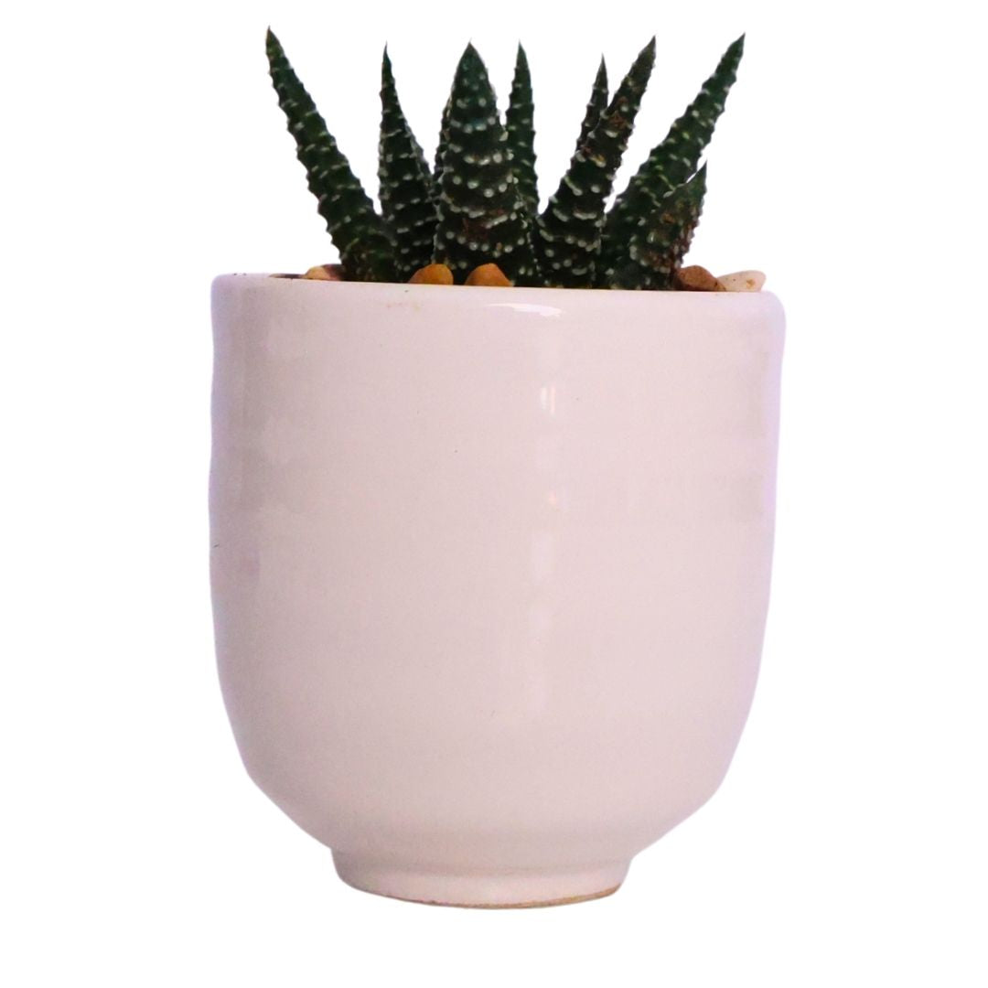 Mini Ribbed Ceramic Planter  D5.5 - White