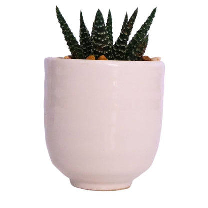 Mini Ribbed Ceramic Planter  D5.5 - White