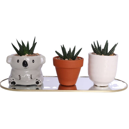 Mini Ribbed Ceramic Planter  D5.5 - White