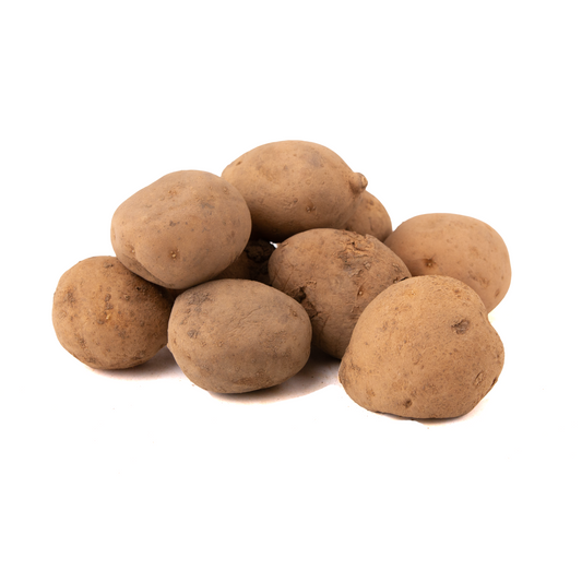 Seed Potatoes - Satin King - 7 tubers p/pack