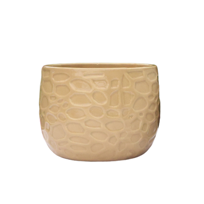 1x Olivia Ceramic D12 - Various Colours