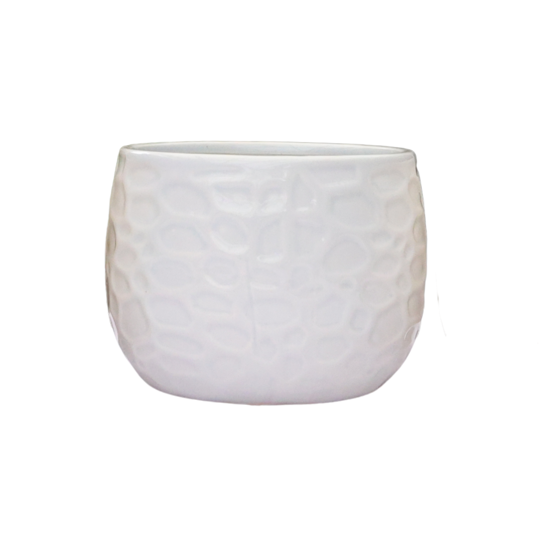 1x Olivia Ceramic D12 - Various Colours