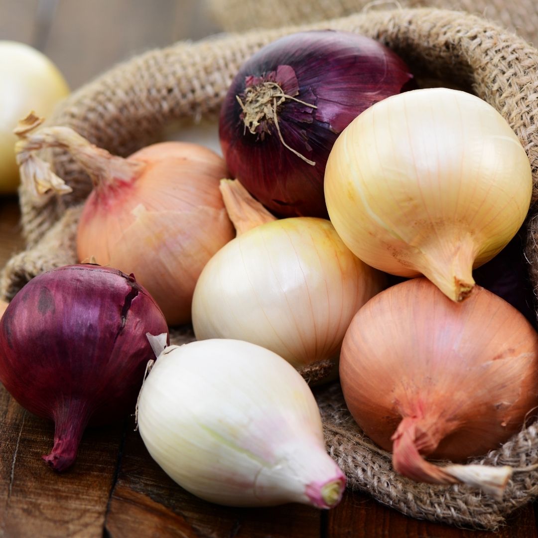 Onion - Mixed Sets - 35 bulbs p-pack (79)