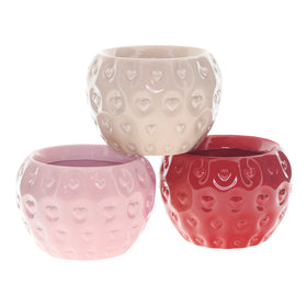 1x Ceramic Pot - Del Fruit- Assorted - D9cm