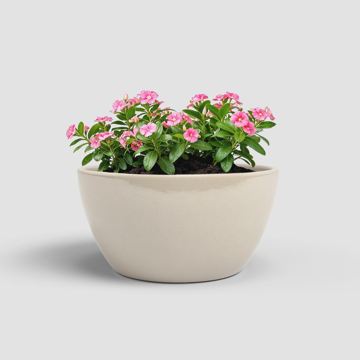 Emília - Brio Bowl
