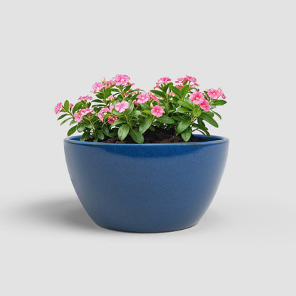 Emília - Brio Bowl