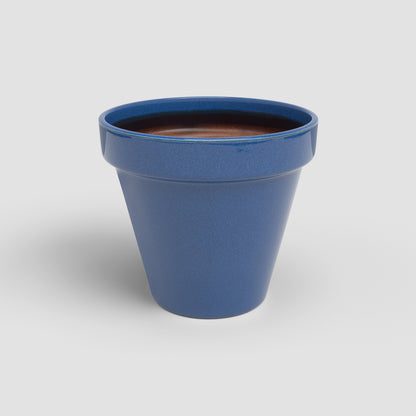 Amalia - Brio Pot