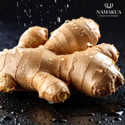 Zingiber officinale (ginger) - 5 bulbs p-pack