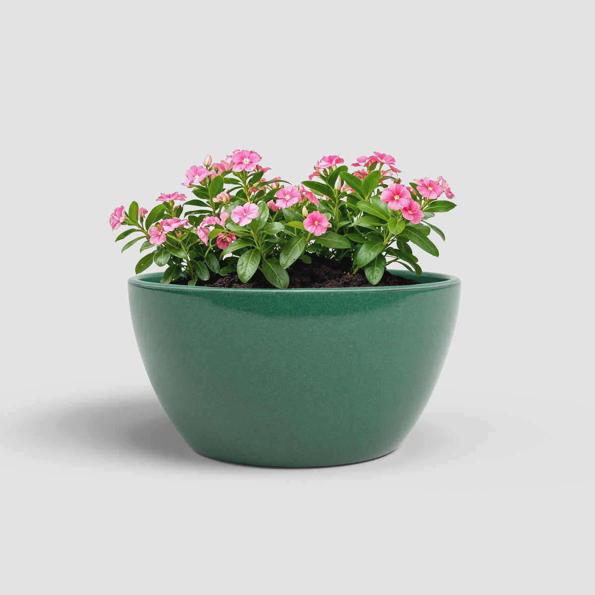 Emília - Brio Bowl