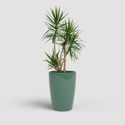 Emilia - Brio High Pot