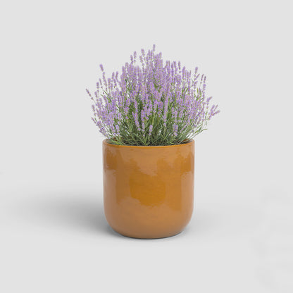 Jupiter Pot - Various Colours