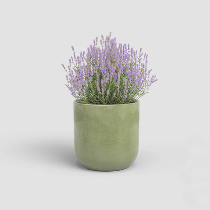 Jupiter Pot - Various Colours