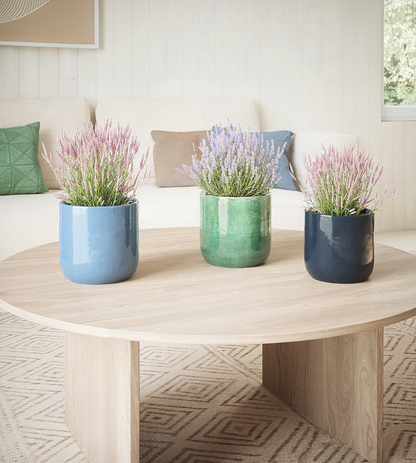 Jupiter Pot - Various Colours