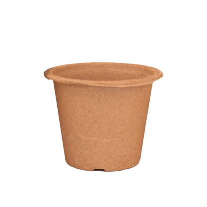 Biodegradable Ferilpot - Various Sizes