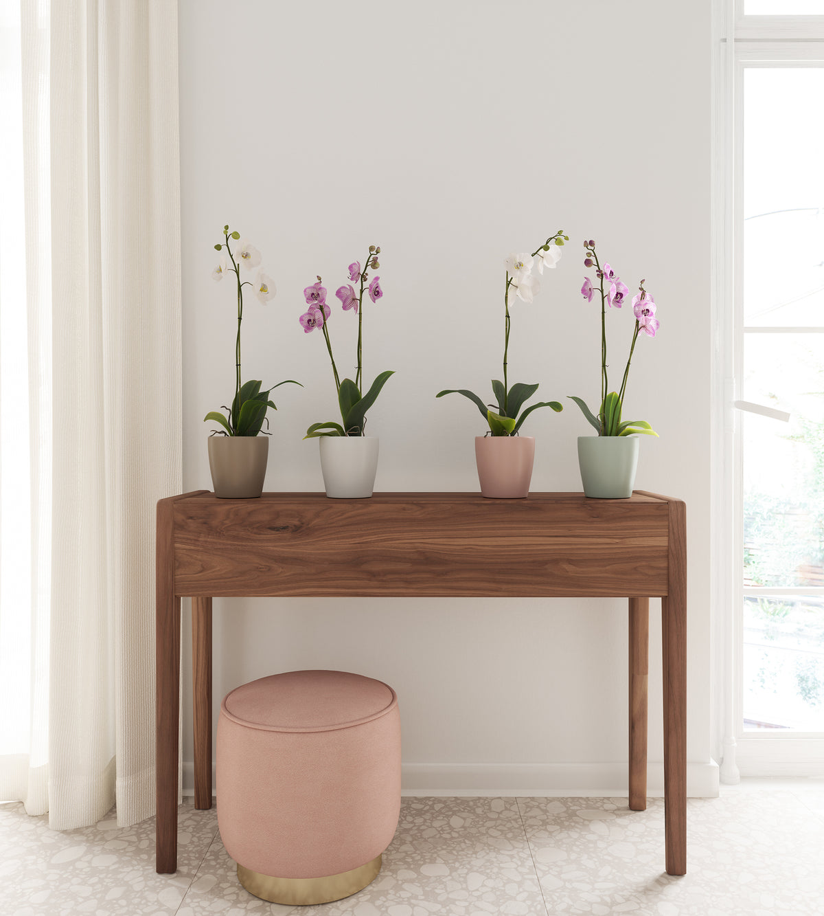 Thalia Orchid Pot - Various Colours