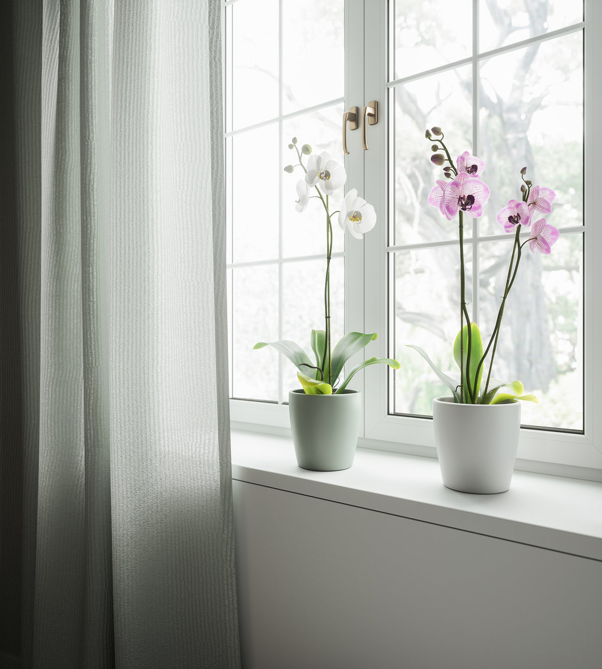 Thalia Orchid Pot - Various Colours