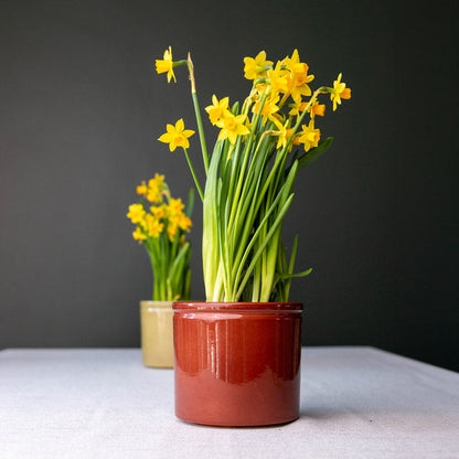 Lucca Ceramic Pot - Brown