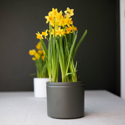 Lucca Ceramic Pot - Camouflage