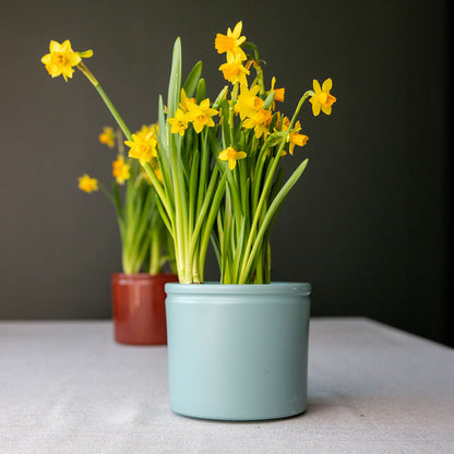 Lucca Ceramic Pot - Green Surf