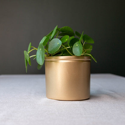 Lucca Ceramic Pot - Gold