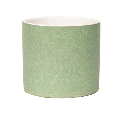 Pastel-Green_IMG_6809