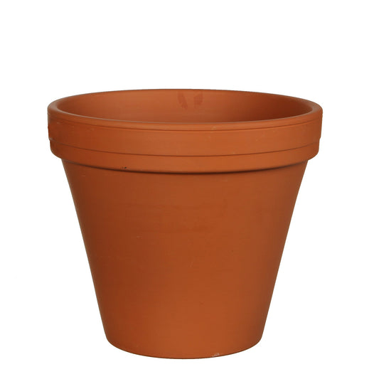 Standard Terracotta Pot