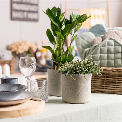 green-13cm-lifestyle